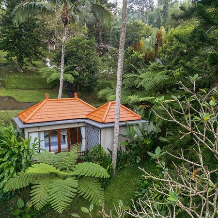 Tjendana Kanaka Jungle Resort Ubud Esterno foto